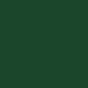 Festive Wilderness - Kiwi (Forest) - Inner Coloured Mug Design