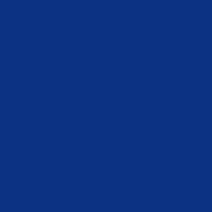 Festive Wilderness - Little Blue Penguin - Biz Collection Kids Ice Tee Design