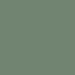 Festive Wilderness - Rhino - AS Colour Organic Infant Mini-Me One-Piece Design