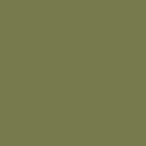 Kiwi Charm - AS Colour Kids Supply Hoodie - AS Colour Kids Supply Hoodie Design