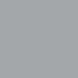 Kiwi Charm - AS Colour Kids Supply Crew - C-Force Kids Fox Sweatshirt Design