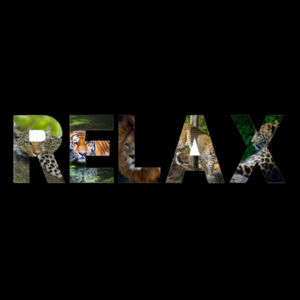 Relax - Wild Cats - Biz Collection Mens Ice Tee Design