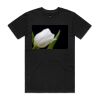 AS Colour Mens Staple T shirt Thumbnail